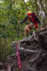 BIB: 
                            <button type="button" onclick="openModal(22166702)" class="btn btn-primary btn-sm float-right btn-popup" data-toggle="modal" data-target=".modal-high-quality">
                        <i class="fas fa-shopping-cart"></i> Add to Cart
                    </button>
                                            <button type="button" onclick="isThisMe(22166702, true)" class="btn btn-success btn-sm float-right btn-popup btn-isme hidden" data-toggle="tooltip" data-placement="bottom" title="นี่คือรูปของคุณใช่ไหม คลิกที่นี่เพื่อเอาเข้าอัลบั้ม">
                        <i class="fas fa-plus"></i> Add to album
                    </button>
                    <button type="button" onclick="isThisMe(22166702, false)" class="btn btn-warning btn-sm float-right btn-popup btn-isnotme hidden">
                        <i class="fas fa-ban"></i> Remove from album
                    </button>